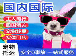 玉树巴塘空运地址国际宠物托运 【国